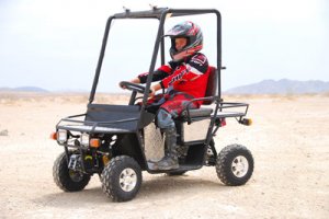 110cc Utility Cart