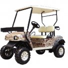 Electric Golf Cart