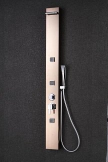 Multi-Function Shower Massage