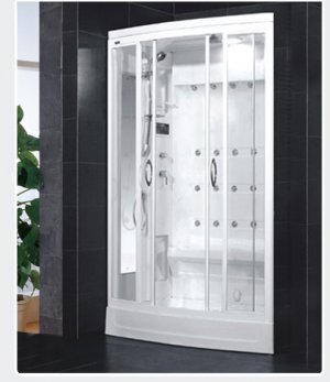 Computer Controlled Steam Shower