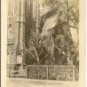 CHRIST CHURCH By The Sea, Post Card
