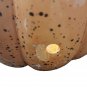 Lighted Pumpkin W/ Turkey Inlay 8"x8" New