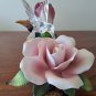 Sadak? Boehm? Hummingbird Perched On Rose Pedal