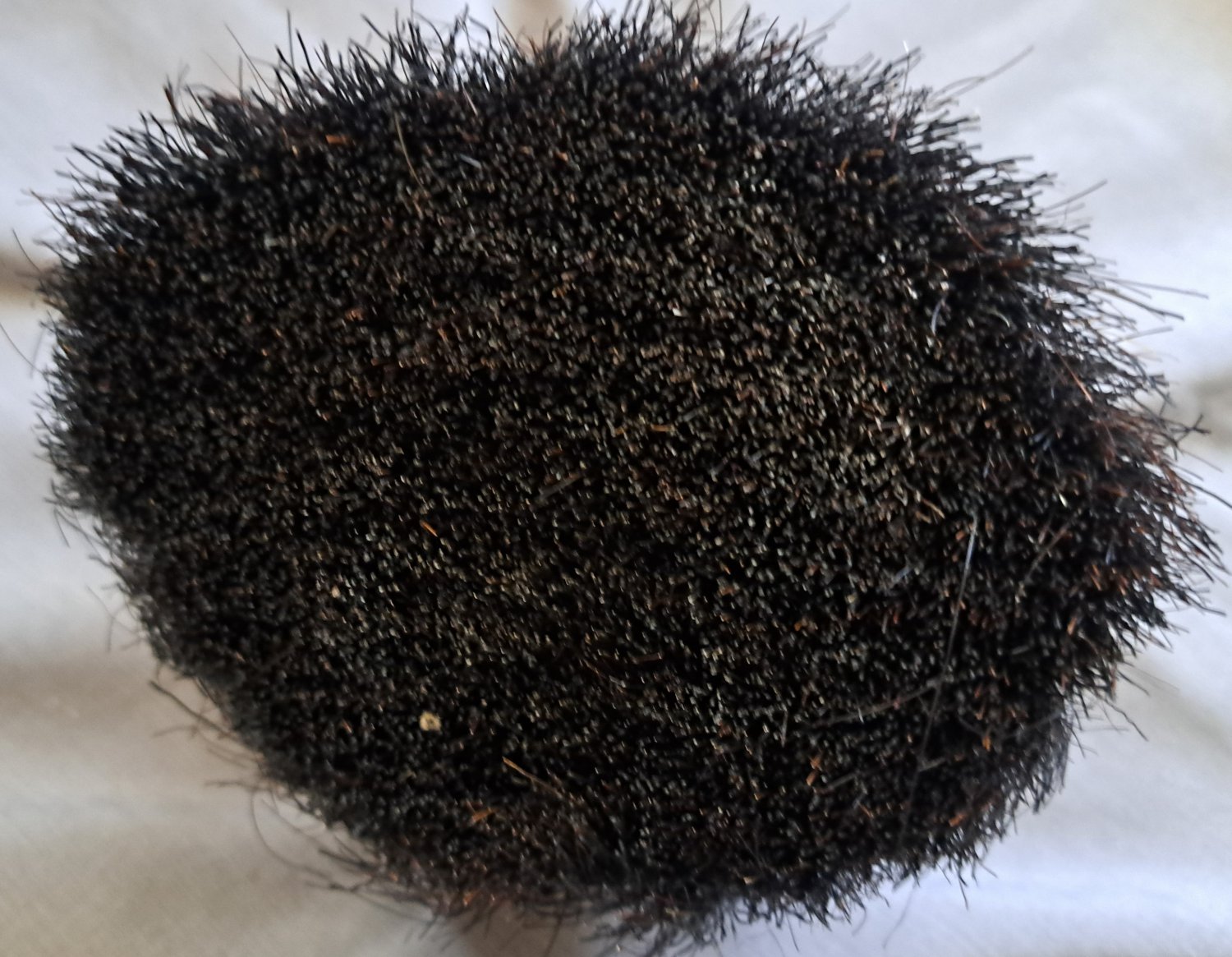 Task Force 5 in. Horse Hair Stippling Texture Brush