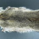 NATURAL RACCOON PELT - NORTH AMERICAN NATURAL PIECE