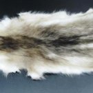 BLEACHED RACCOON PELT - NORTH AMERICAN NATURAL PIECE