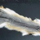 GREY FOX PELT - NORTH AMERICAN NATURAL PIECE