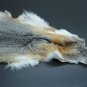 GREY FOX PELT - NORTH AMERICAN NATURAL PIECE