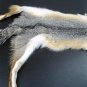 GREY FOX PELT - NORTH AMERICAN NATURAL PIECE