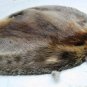 NATURAL BEAVER PELT - NORTH AMERICAN PIECE SKIN