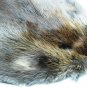 NATURAL BEAVER PELT - NORTH AMERICAN PIECE SKIN