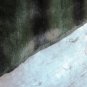 MINK PLUCKED GREEN COL W/STRIPE PLATE-DRESSED REAL GENUINE SKIN (est 47" X 20")