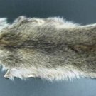 NATURAL RACCOON FLAT PELT - NORTH AMERICAN NATURAL PIECE