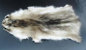BLEACHED RACCOON FLAT PELT - NORTH AMERICAN NATURAL PIECE