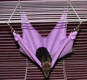 Hammock A- 15 inch Purple Fleece Hammock