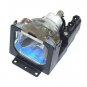 eReplacements Replacement Lamp