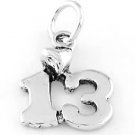 STERLING SILVER NUMBER 13 W/ HEART CHARM/PENDANT