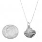 STERLING SILVER OCEAN SEASHELL / SEA SHELL CHARM WITH 16 inch BOX CHAIN NECKLACE