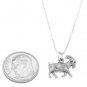 STERLING SILVER LIVESTOCK FARMER'S GOAT CHARM WITH 16 inch BOX CHAIN NECKLACE