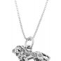 STERLING SILVER LION CHARM WITH 16 inch BOX CHAIN NECKLACE