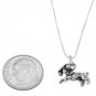 STERLING SILVER RAM BODY CHARM WITH 16 inch BOX CHAIN NECKLACE