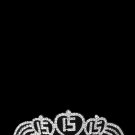MFH4232938