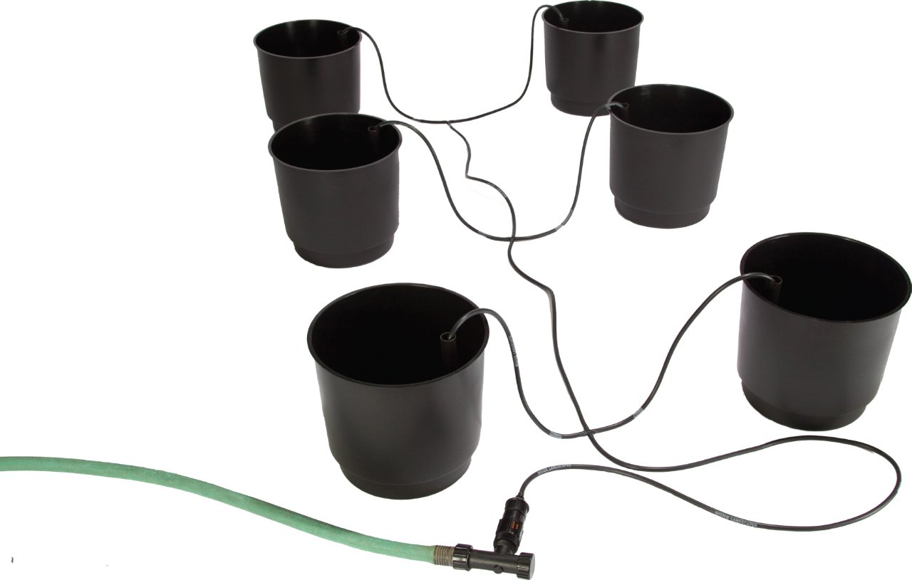 Hydroponic Eco 6 Pack Growing System