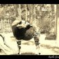 Okapi (5x7 print)