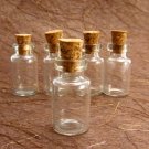 10pcs 24x12mm Clear Glass Tiny Bottle Vials with Free Eyehooks