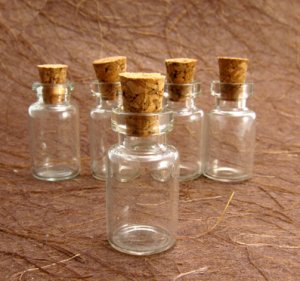 10pcs 24x12mm Clear Glass Tiny Bottle Vials with Free Eyehooks