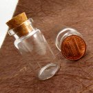 10pcs 42x20mm Clear Glass Tiny Bottle Vials with Free Eyehooks