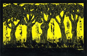 Tree 17