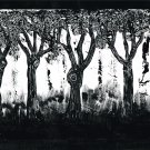 Tree 22