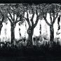 Tree 22
