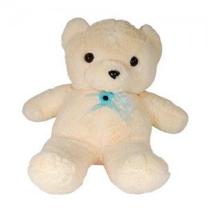 Teddy Bear Hidden Surveillance DVR Camera