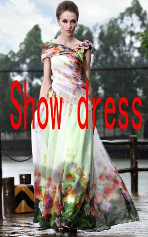 dinner dress annual  Long print dress style dinner / dance / reception / show dress