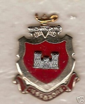 ARMY ENGINEER SCHOOL DUI DI CREST INSIGNIA