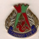 507TH ENGINEER BATTALION DUI CREST INSIGNIA