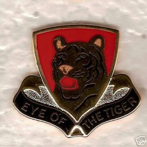 219TH SUPPORT GROUP DUI CREST INSIGNIA