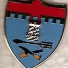 11TH INFANTRY REGT DI DUI CREST INSIGNIA