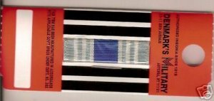 AIR FORCE OVERSEAS RIBBON SLIDE