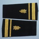 U.S.NAVY SOFT SHOULDER BOARDS DENTAL CORPS LTJG