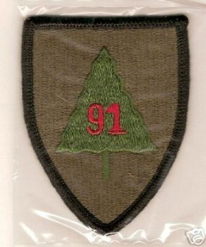 91ST INFANTRY TRAINING DIVISION COLOR PATCH INSIGNIA