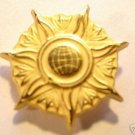 NASA DISTINGUISHED PUBLIC SERVICE LAPEL PIN, NEW