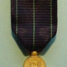 NAVY EXPERT RIFLE MINI MEDAL NEW