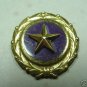 NEXT OF KIN GOLD STAR WWII IN BOX PINBACK
