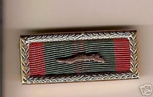 RVN CIVIL ACTION 1C/PALM RIBBON/ARMY FRAME