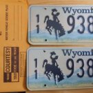 Wyoming license plate pair 11-938 BF Park County New