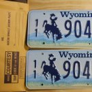 Wyoming license plate pair 11- 904 BF Park County New