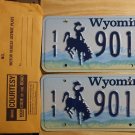 Wyoming license plate pair 11- 901 BF Park County New